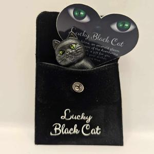 Lucky Black Cat