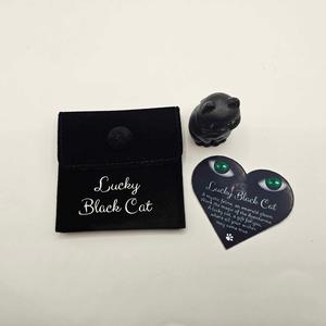 Lucky Black Cat