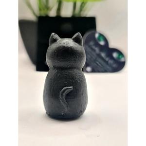 Lucky Black Cat