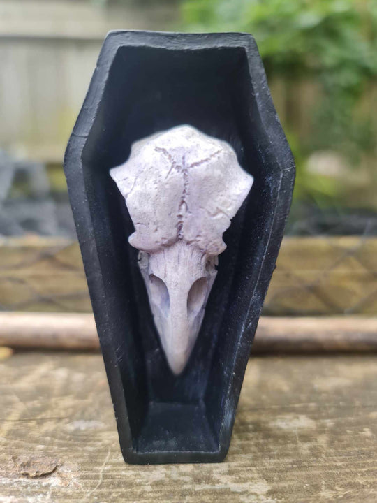 Crow Skull Coffin Ornament - Glow in Dark