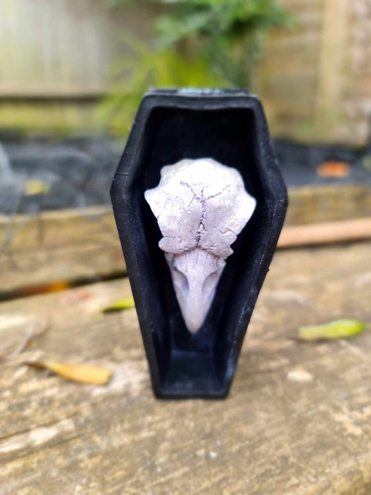 Crow Skull Coffin Ornament - Glow in Dark