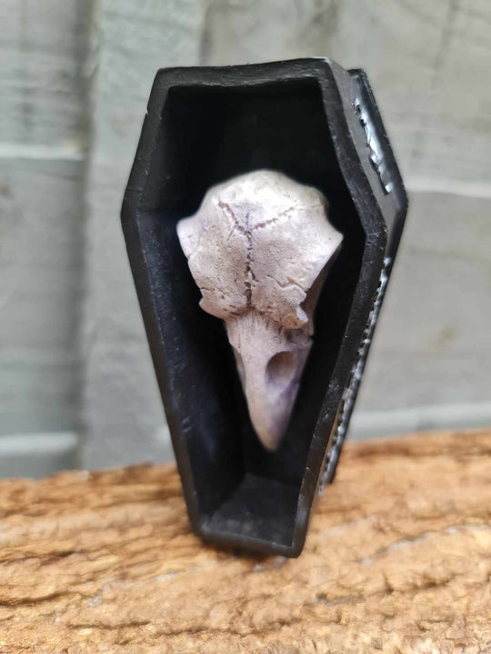 Crow Skull Coffin Ornament - Glow in Dark