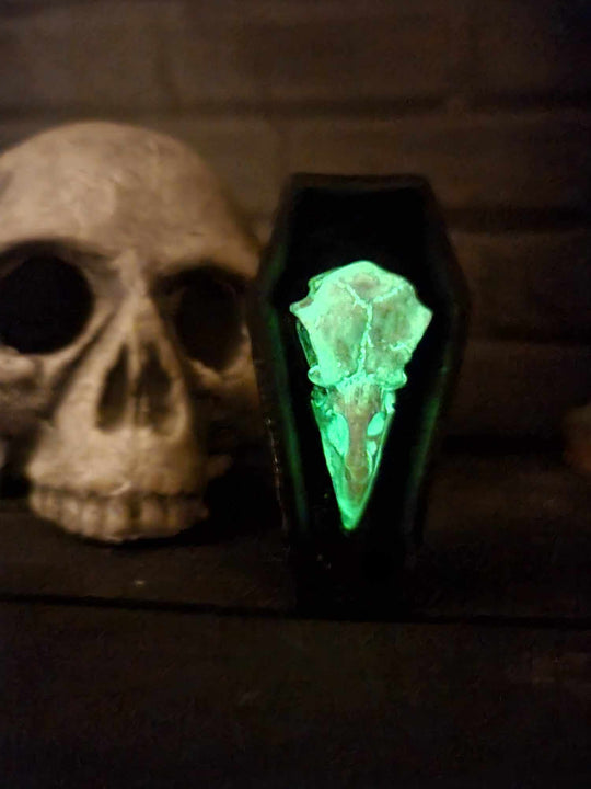 Crow Skull Coffin Ornament - Glow in Dark