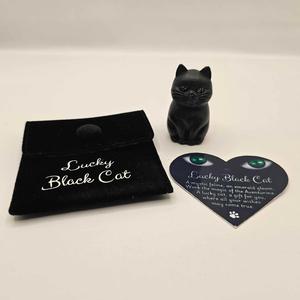 Lucky Black Cat