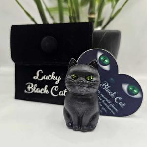 Lucky Black Cat