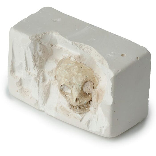 Human Skull Dig-A-Saurs Dig it Out Kit