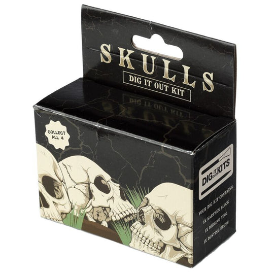Human Skull Dig-A-Saurs Dig it Out Kit