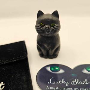 Lucky Black Cat