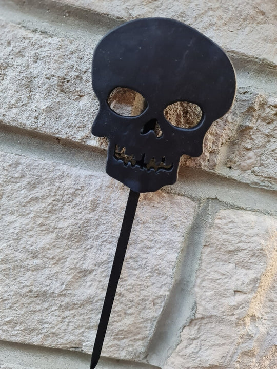 Hag Skull - Wooden Skull with hanging Hag Stone
