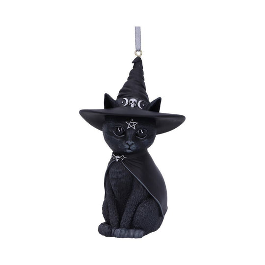 Hanging Purrah - Cult Cutie Range