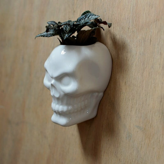 Skull Wall Mounted Planter