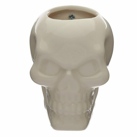 Skull Wall Mounted Planter