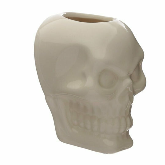 Skull Wall Mounted Planter