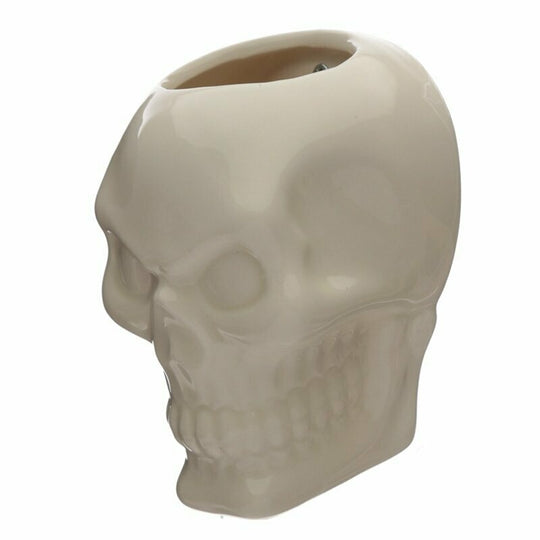 Skull Wall Mounted Planter