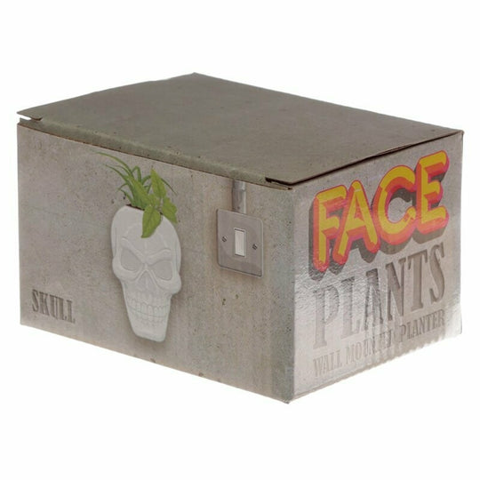 Skull Wall Mounted Planter