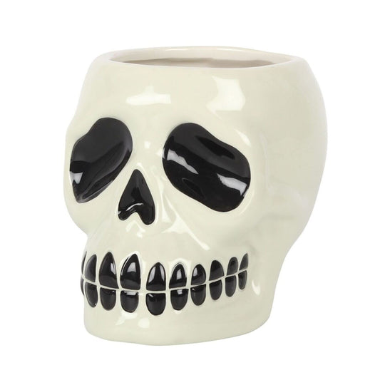 Ceramic Skull Plant Pot