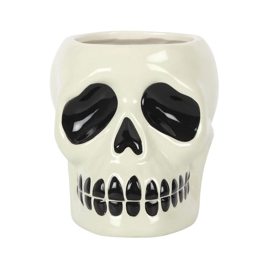 Ceramic Skull Plant Pot