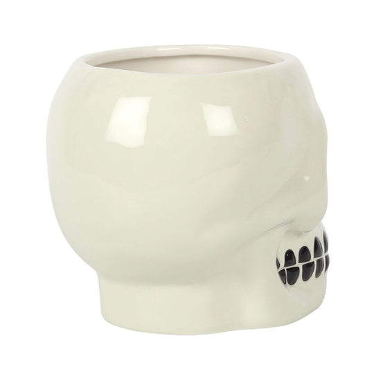 Ceramic Skull Plant Pot