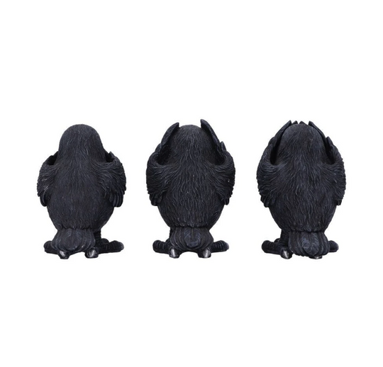 Three Wise Ravens