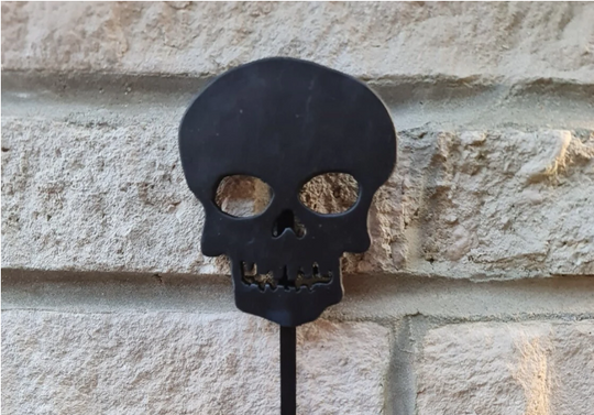 Hag Skull - Wooden Skull with hanging Hag Stone