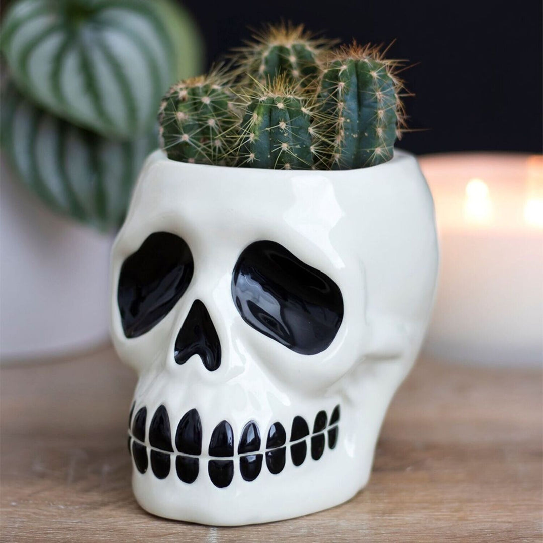Ceramic Skull Plant Pot